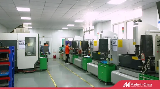 Fabricant/fabrication de moules en plastique de précision personnalisés
